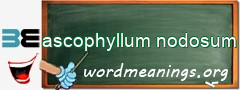 WordMeaning blackboard for ascophyllum nodosum